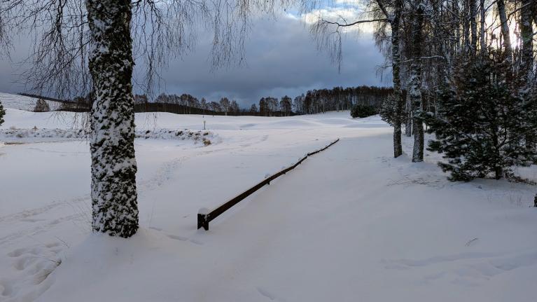 Wintry start with the wishbone effect; Gradual transition to milder conditions; Snowy Januaries from the 1970s to 2020s